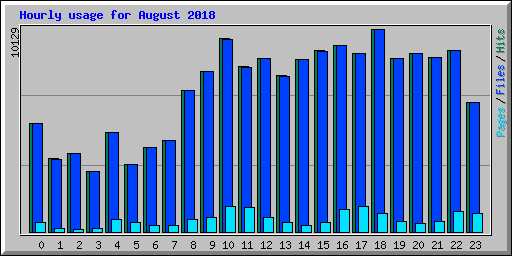 Hourly usage for August 2018